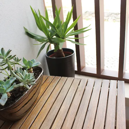 Guest house Rito Hall Da Serra