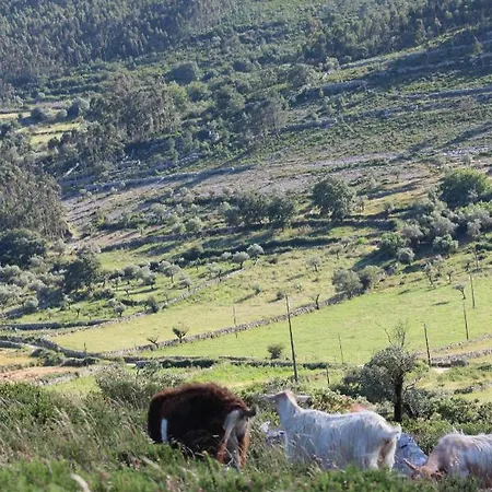 Konukevi Rito Hall Da Serra