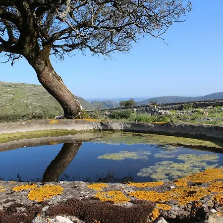 Guest house Rito Hall Da Serra