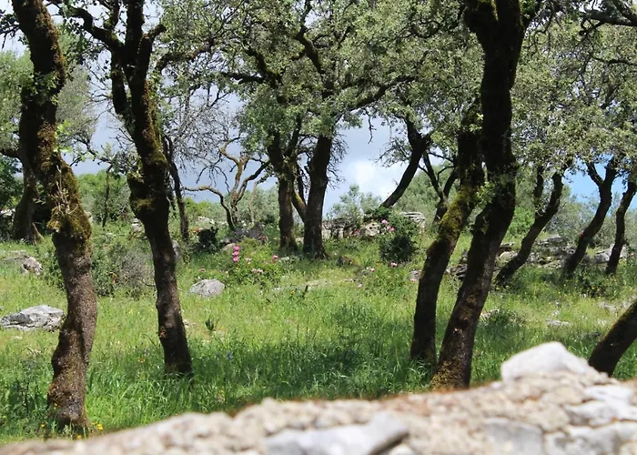 Casa de hóspedes Rito Hall Da Serra Leiria