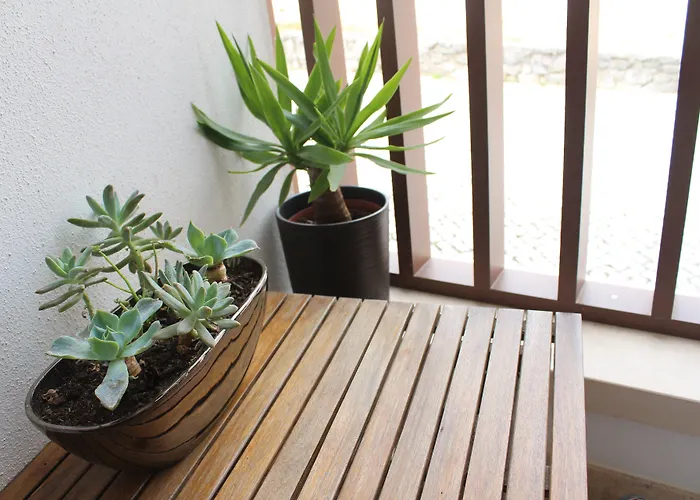 Casa de hóspedes Rito Hall Da Serra