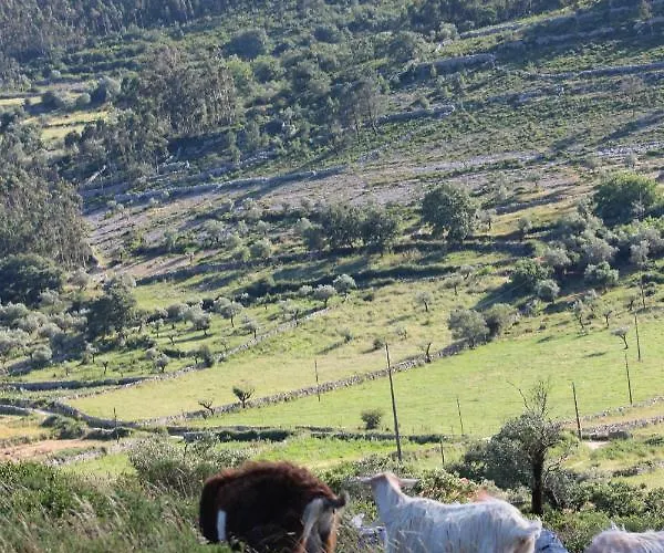 Casa de hóspedes Rito Hall Da Serra