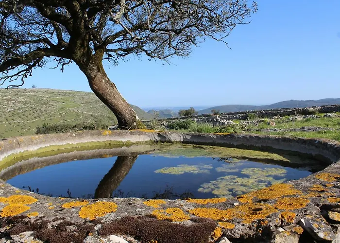 Casa de hóspedes Rito Hall Da Serra